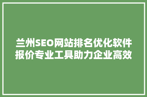 兰州SEO网站排名优化软件报价专业工具助力企业高效提升网络影响力