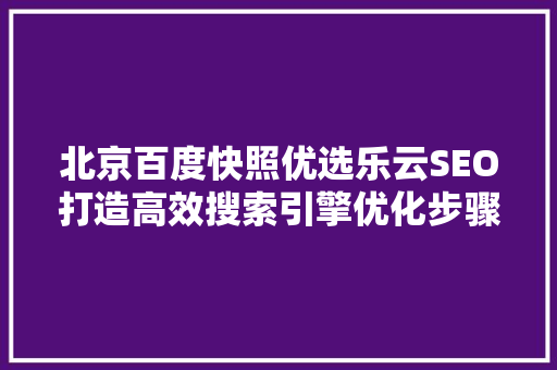 北京百度快照优选乐云SEO打造高效搜索引擎优化步骤