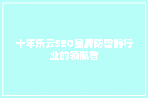 十年乐云SEO品牌防雷器行业的领航者