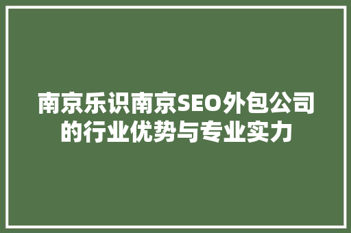 南京乐识南京SEO外包公司的行业优势与专业实力