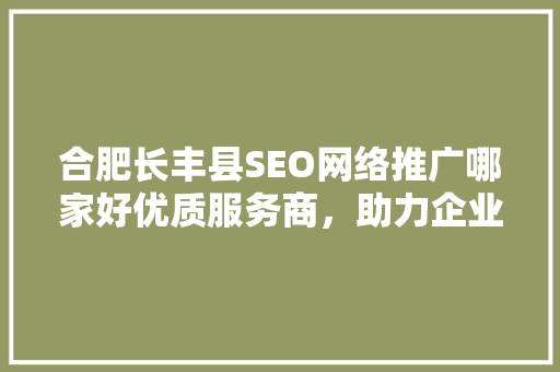 合肥长丰县SEO网络推广哪家好优质服务商，助力企业腾飞