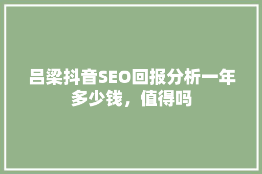 吕梁抖音SEO回报分析一年多少钱，值得吗
