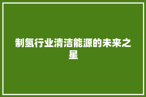 制氢行业清洁能源的未来之星