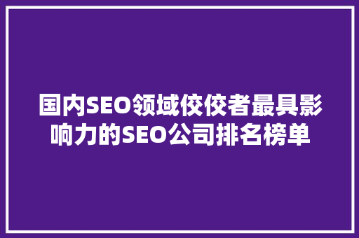 国内SEO领域佼佼者最具影响力的SEO公司排名榜单