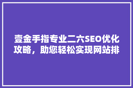 壹金手指专业二六SEO优化攻略，助您轻松实现网站排名提升