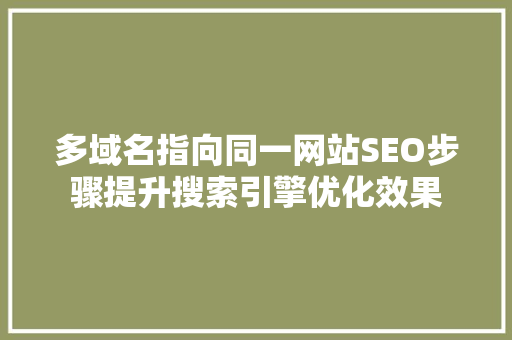 多域名指向同一网站SEO步骤提升搜索引擎优化效果