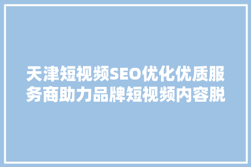 天津短视频SEO优化优质服务商助力品牌短视频内容脱颖而出