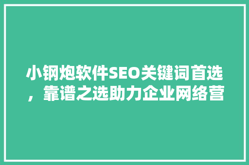 小钢炮软件SEO关键词首选，靠谱之选助力企业网络营销