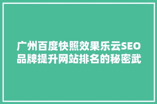 广州百度快照效果乐云SEO品牌提升网站排名的秘密武器