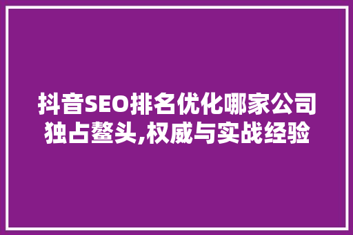 抖音SEO排名优化哪家公司独占鳌头,权威与实战经验分享