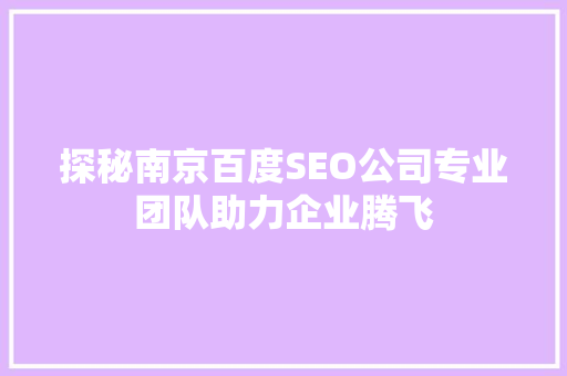 探秘南京百度SEO公司专业团队助力企业腾飞