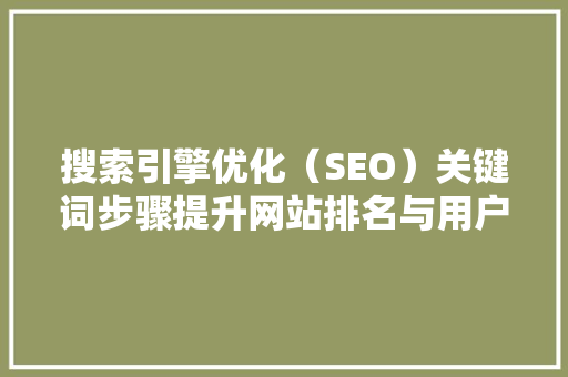 搜索引擎优化（SEO）关键词步骤提升网站排名与用户体验的关键