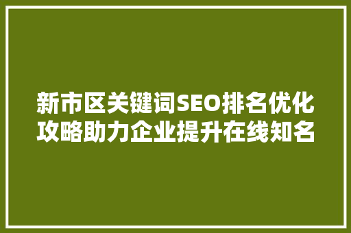 新市区关键词SEO排名优化攻略助力企业提升在线知名度