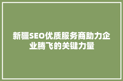 新疆SEO优质服务商助力企业腾飞的关键力量