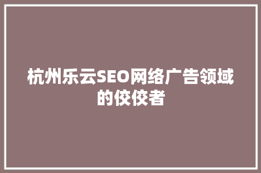 杭州乐云SEO网络广告领域的佼佼者