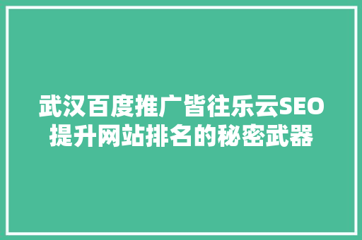 武汉百度推广皆往乐云SEO提升网站排名的秘密武器