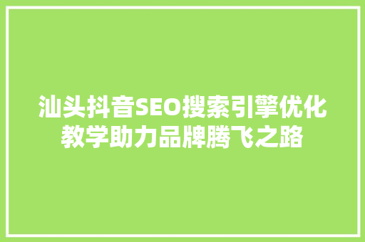 汕头抖音SEO搜索引擎优化教学助力品牌腾飞之路