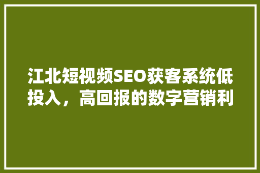江北短视频SEO获客系统低投入，高回报的数字营销利器
