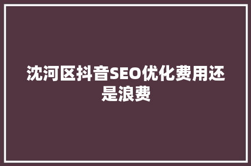 沈河区抖音SEO优化费用还是浪费