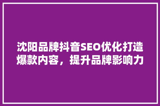 沈阳品牌抖音SEO优化打造爆款内容，提升品牌影响力