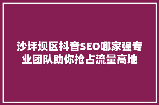 沙坪坝区抖音SEO哪家强专业团队助你抢占流量高地