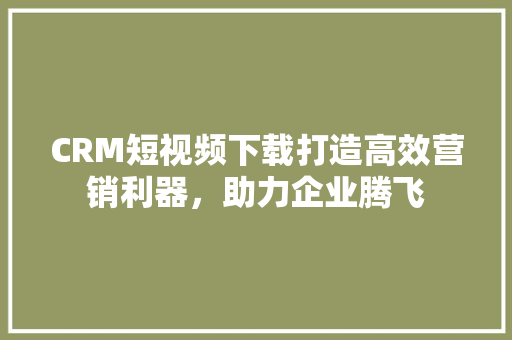 CRM短视频下载打造高效营销利器，助力企业腾飞