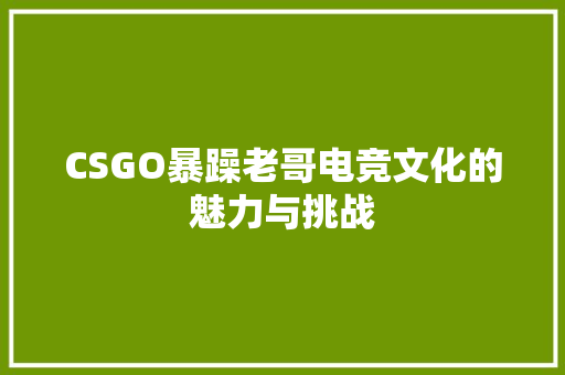 CSGO暴躁老哥电竞文化的魅力与挑战