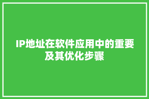 IP地址在软件应用中的重要及其优化步骤