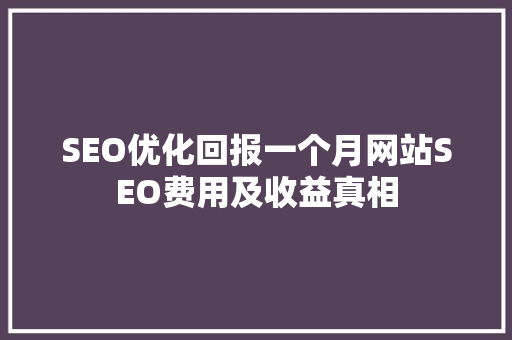 SEO优化回报一个月网站SEO费用及收益真相