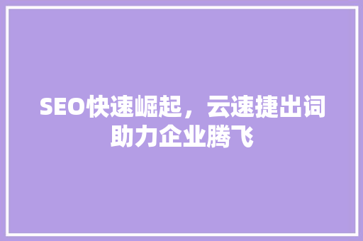 SEO快速崛起，云速捷出词助力企业腾飞