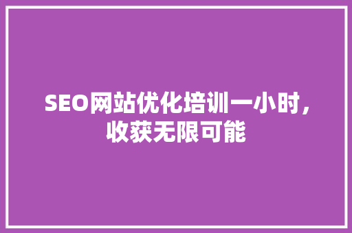 SEO网站优化培训一小时，收获无限可能