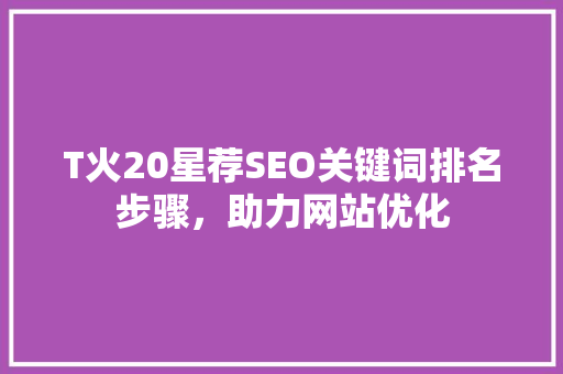 T火20星荐SEO关键词排名步骤，助力网站优化