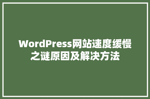 WordPress网站速度缓慢之谜原因及解决方法