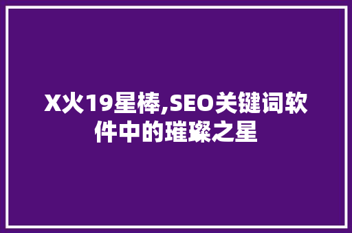 X火19星棒,SEO关键词软件中的璀璨之星