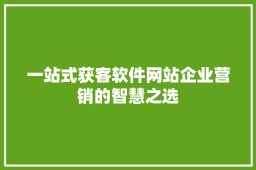 一站式获客软件网站企业营销的智慧之选
