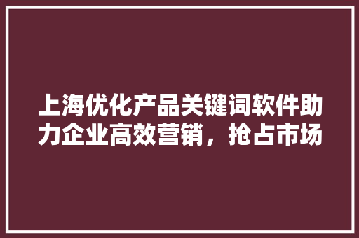 上海优化产品关键词软件助力企业高效营销，抢占市场先机