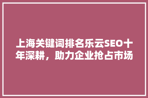 上海关键词排名乐云SEO十年深耕，助力企业抢占市场先机
