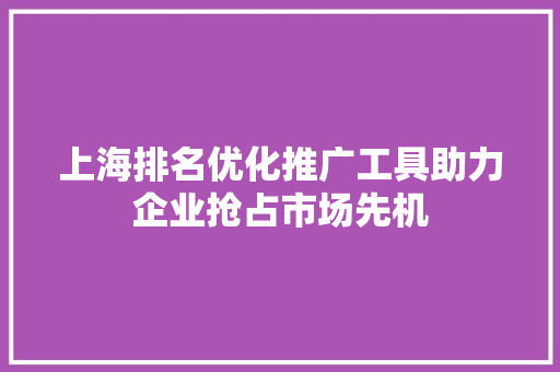 上海排名优化推广工具助力企业抢占市场先机