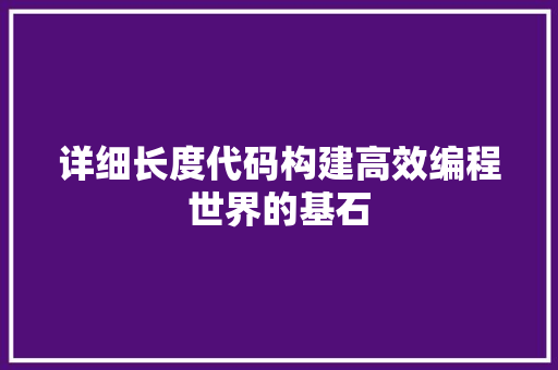 详细长度代码构建高效编程世界的基石