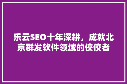 乐云SEO十年深耕，成就北京群发软件领域的佼佼者
