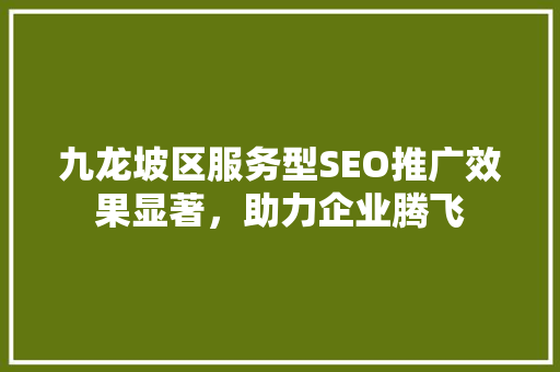九龙坡区服务型SEO推广效果显著，助力企业腾飞