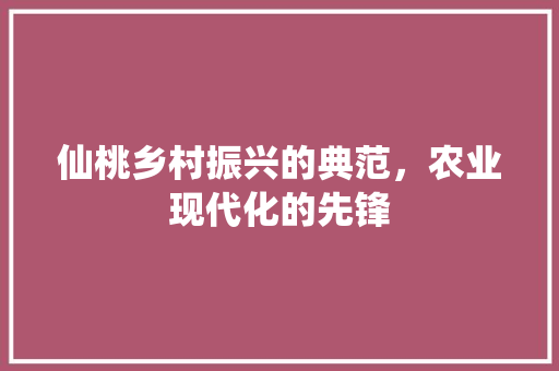 仙桃乡村振兴的典范，农业现代化的先锋