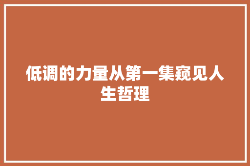 低调的力量从第一集窥见人生哲理