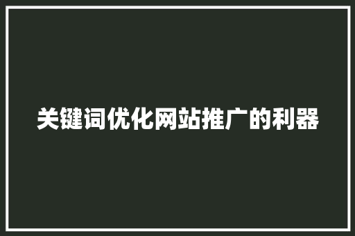 关键词优化网站推广的利器