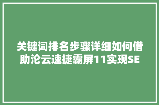 关键词排名步骤详细如何借助沦云速捷霸屏11实现SEO霸屏