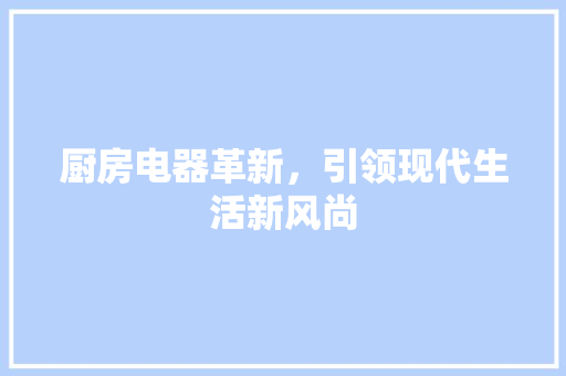 厨房电器革新，引领现代生活新风尚  第1张