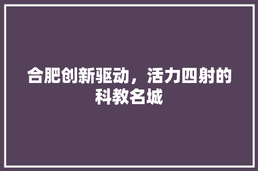 合肥创新驱动，活力四射的科教名城