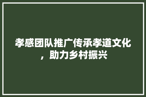 孝感团队推广传承孝道文化，助力乡村振兴