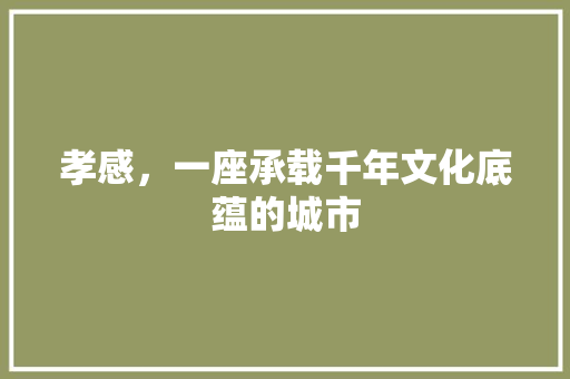 孝感，一座承载千年文化底蕴的城市