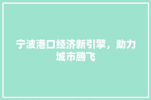 宁波港口经济新引擎，助力城市腾飞